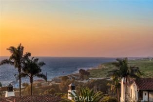 Single Family Residence, 8 Baffin Bay, Newport Coast, CA 92657 - 52