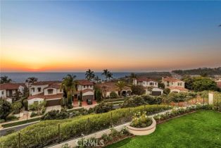 Single Family Residence, 8 Baffin Bay, Newport Coast, CA 92657 - 53