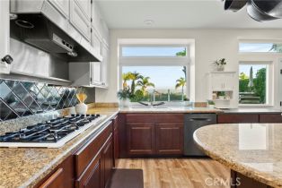 Single Family Residence, 30432 Via Lindosa, Laguna Niguel, CA 92677 - 13