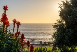 Condominium, 556 Cliff dr, Laguna Beach, CA 92651 - 47