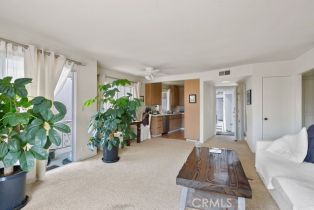 Residential Income, 314 Avenida Madrid, San Clemente, CA 92672 - 7