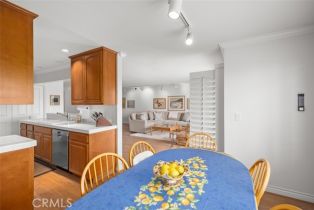 Condominium, 235 Avenida Lobiero, San Clemente, CA 92672 - 13