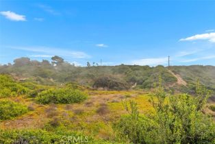 Condominium, 235 Avenida Lobiero, San Clemente, CA 92672 - 23