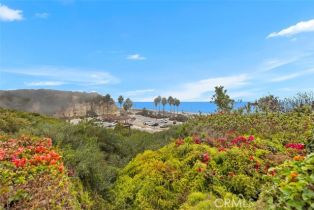 Condominium, 235 Avenida Lobiero, San Clemente, CA 92672 - 36