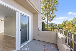 Townhouse, 24472 Howes dr, Laguna Niguel, CA 92677 - 25