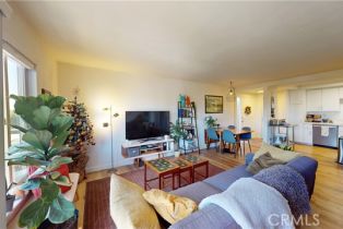 Residential Income, 34141 Ruby Lantern st, Dana Point, CA 92629 - 49