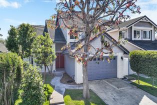 Single Family Residence, 25102 Danabirch, Dana Point, CA 92629 - 3