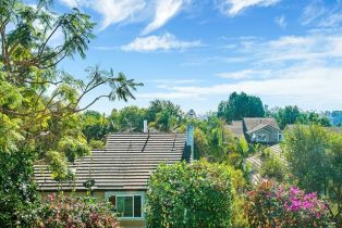 Single Family Residence, 25102 Danabirch, Dana Point, CA 92629 - 30