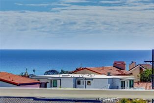 Townhouse, 24352 Vista Point ln, Dana Point, CA 92629 - 31