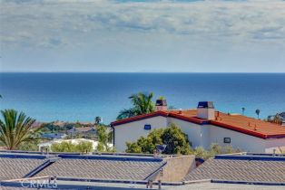 Townhouse, 24352 Vista Point ln, Dana Point, CA 92629 - 34