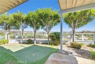 Single Family Residence, 34152 Cambridge rd, Dana Point, CA 92629 - 38