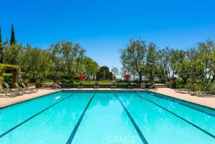 Single Family Residence, 4 Highpoint, Newport Coast, CA 92657 - 31