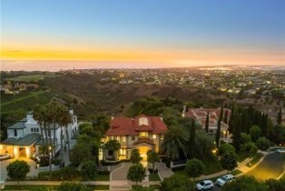 Single Family Residence, 7 Rim Ridge, Newport Coast, CA 92657 - 2