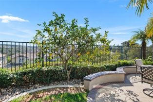 Single Family Residence, 26 Pegasus dr, Coto De Caza, CA 92679 - 41