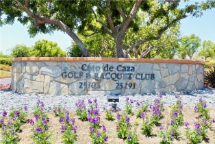 Single Family Residence, 20 Eastridge, Coto De Caza, CA 92679 - 35