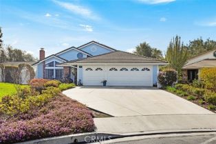 Single Family Residence, 20 Eastridge, Coto De Caza, CA 92679 - 5