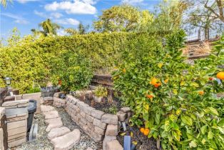 Single Family Residence, 10 Altimira, Coto De Caza, CA 92679 - 40