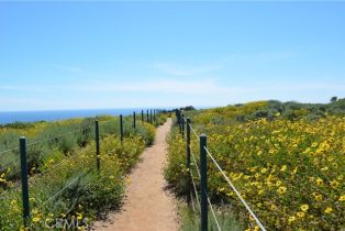 Residential Income, 34381 Dana Strand rd, Dana Point, CA 92629 - 22