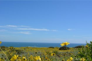 Residential Income, 34381 Dana Strand rd, Dana Point, CA 92629 - 33