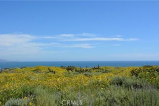 Residential Income, 34381 Dana Strand rd, Dana Point, CA 92629 - 35