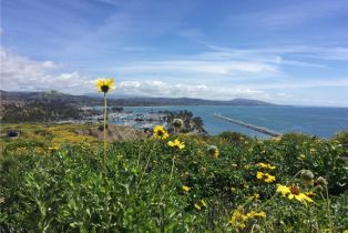 Residential Income, 34381 Dana Strand rd, Dana Point, CA 92629 - 37