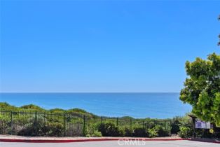 Residential Income, 34381 Dana Strand rd, Dana Point, CA 92629 - 41