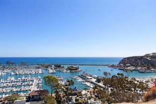 Residential Income, 34381 Dana Strand rd, Dana Point, CA 92629 - 56