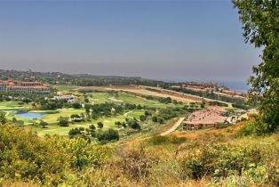 Residential Income, 34381 Dana Strand rd, Dana Point, CA 92629 - 61