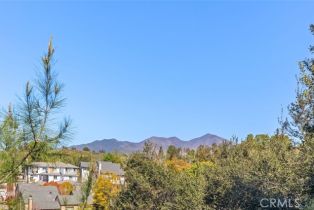 Single Family Residence, 31721 Via Perdiz, Coto De Caza, CA 92679 - 11