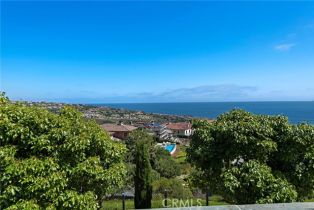 Single Family Residence, 18 Sail Vista, Newport Coast, CA 92657 - 31