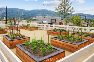 Single Family Residence, 474 Checkerbloom ln, Santa Paula, CA 93060 - 27