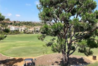 Condominium, 41 Wightman ct, Dana Point, CA 92629 - 14