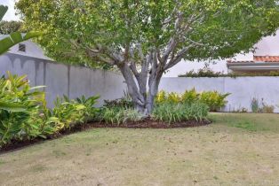 Single Family Residence, 733 Tolita, Coronado, CA 92118 - 7