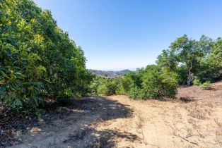 , 0 Wilt rd, Fallbrook, CA 92028 - 13