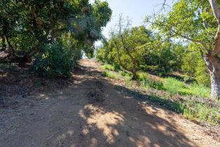 , 0 Wilt rd, Fallbrook, CA 92028 - 19