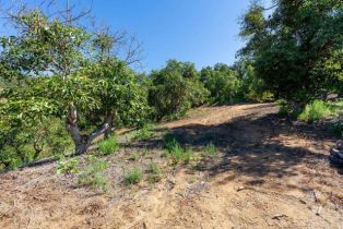 , 0 Wilt rd, Fallbrook, CA 92028 - 23