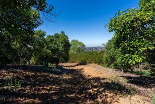 , 0 Wilt rd, Fallbrook, CA 92028 - 24