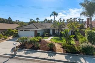 Single Family Residence, 7789 Falda pl, Carlsbad, CA 92009 - 50