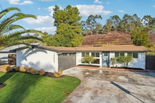 Single Family Residence, 14033 Frame rd, Poway, CA 92064 - 35