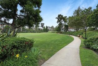 Apartment, 7205 Charmant dr, La Jolla, CA 92122 - 13