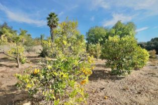 Single Family Residence, 13227 Blueberry Hill ln, Valley Center, CA 91761 - 47