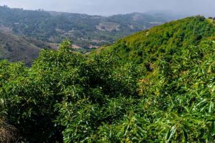 , 0 La Cruz dr, Temecula, CA 92590 - 10