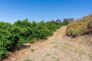 , 0 La Cruz dr, Temecula, CA 92590 - 13