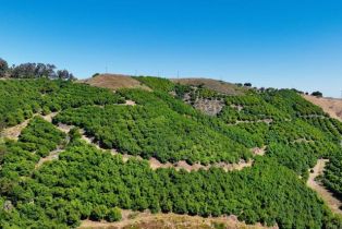 , 0 La Cruz dr, Temecula, CA 92590 - 5