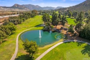 Single Family Residence, 1861 Fox Bridge ct, Fallbrook, CA 92028 - 52