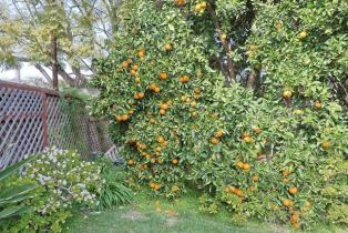 Single Family Residence, 638 Margarita ave, Coronado, CA 92118 - 59