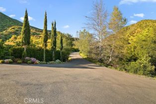 Single Family Residence, 2835 Hermitage rd, Ojai, CA 93023 - 52