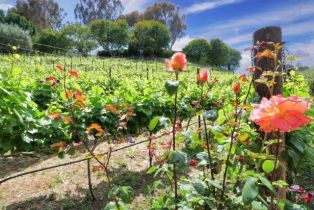 Single Family Residence, 30 Portuguese Bend rd, Rolling Hills, CA 90274 - 46