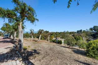 Single Family Residence, 13 Chuckwagon rd, Rolling Hills, CA 90274 - 45