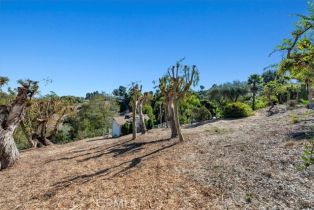 Single Family Residence, 13 Chuckwagon rd, Rolling Hills, CA 90274 - 46